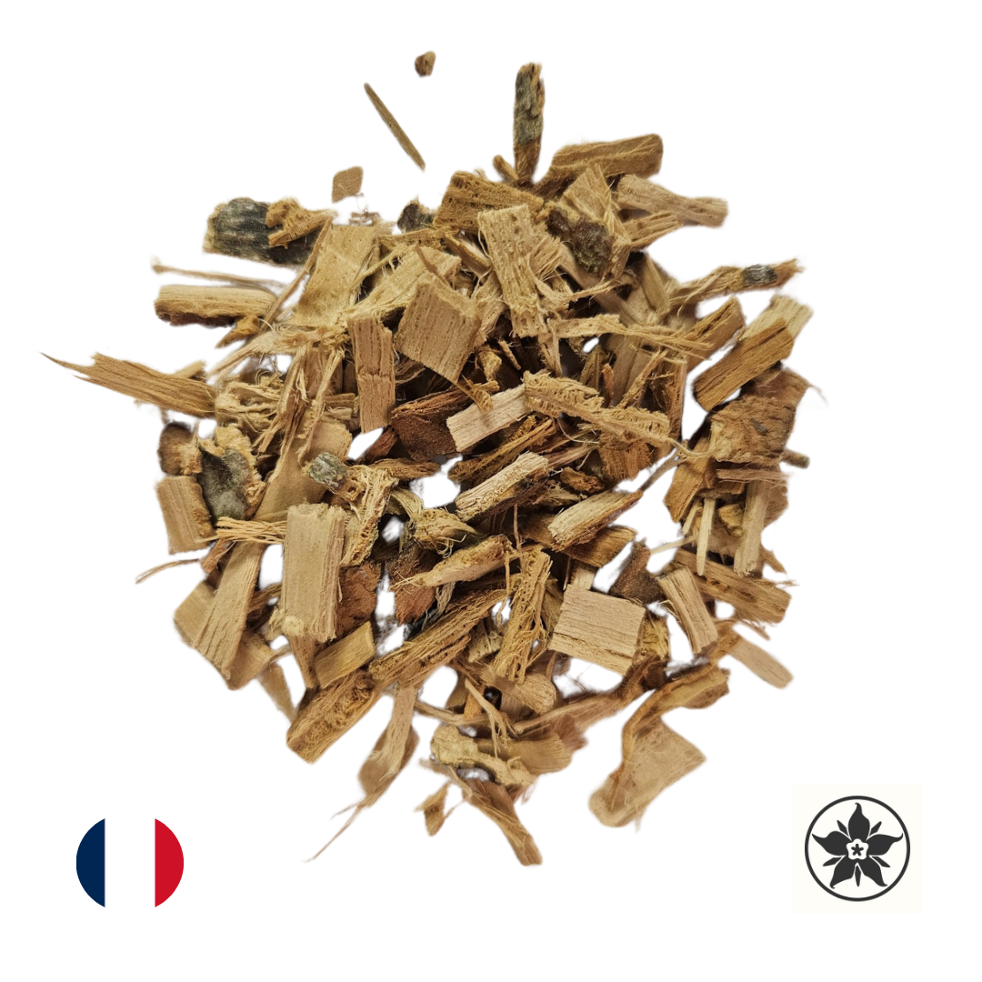 Aubier Tilleul - Tilia cordata