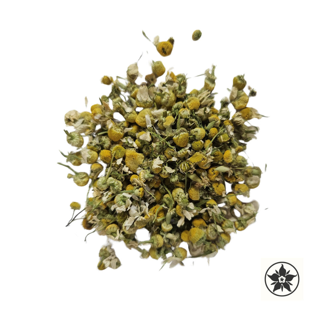 Camomille matricaire - Matricaria chamomilla