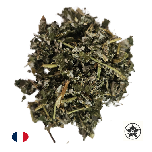 Framboisier - Rubus idaeus